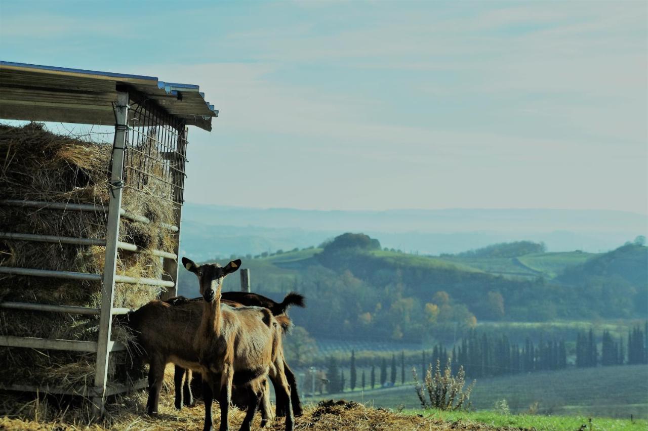Agriturismo Fattoria Le Caprine Gambassi Terme Exterior foto