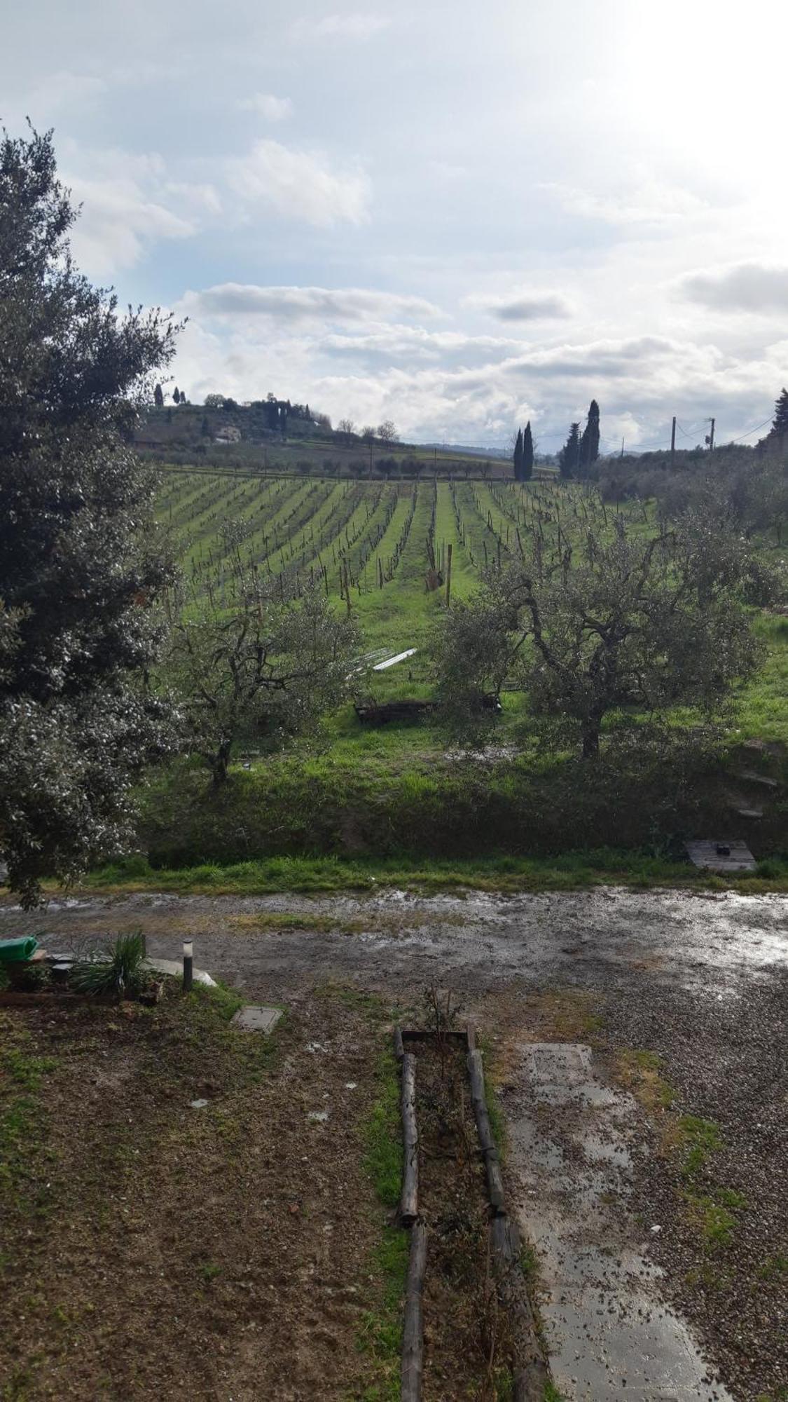 Agriturismo Fattoria Le Caprine Gambassi Terme Exterior foto